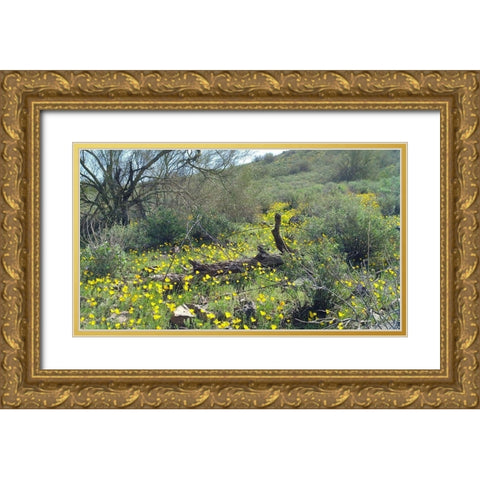 Desert Scape 4 Gold Ornate Wood Framed Art Print with Double Matting by Popcorn