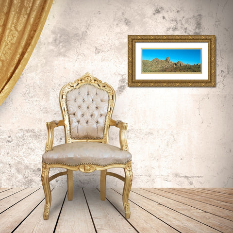 Tomâ€™s Thumb Gold Ornate Wood Framed Art Print with Double Matting by Popcorn