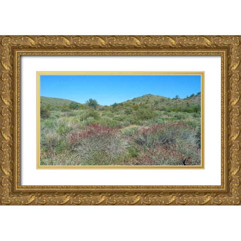 Desert Scape 5: Penstemon Gold Ornate Wood Framed Art Print with Double Matting by Popcorn