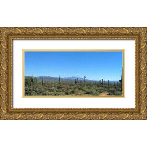 Four Peaks I: Black Top Mesa Gold Ornate Wood Framed Art Print with Double Matting by Popcorn