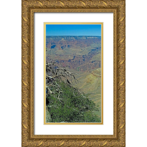 Grand Canyon 4 Gold Ornate Wood Framed Art Print with Double Matting by Popcorn