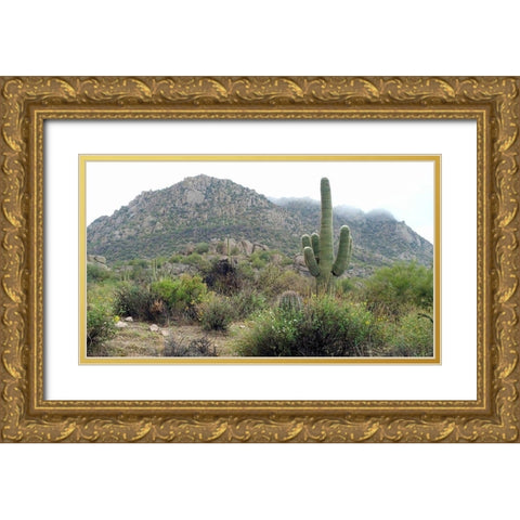 Granite Mountain Gold Ornate Wood Framed Art Print with Double Matting by Popcorn