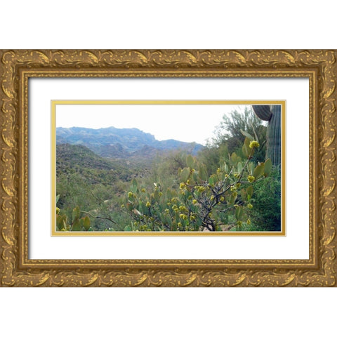 Superstition Mountain II Gold Ornate Wood Framed Art Print with Double Matting by Popcorn