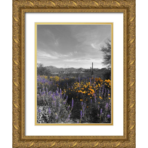 Wildflowers BandW VI Gold Ornate Wood Framed Art Print with Double Matting by Popcorn