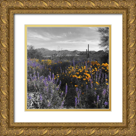 Wildflowers BandW VII Gold Ornate Wood Framed Art Print with Double Matting by Popcorn