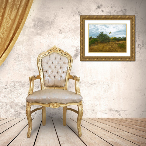 Desert Scape 6 Gold Ornate Wood Framed Art Print with Double Matting by Popcorn