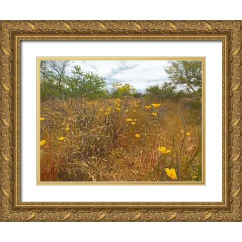 Desert Scape 7 Gold Ornate Wood Framed Art Print with Double Matting by Popcorn