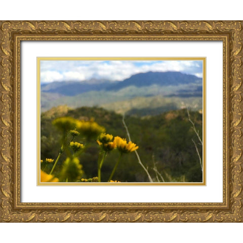 Desert Scape 11 Gold Ornate Wood Framed Art Print with Double Matting by Popcorn