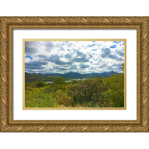 Bartlett Lake B Gold Ornate Wood Framed Art Print with Double Matting by Popcorn