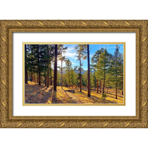 Greer in Fall 6 Gold Ornate Wood Framed Art Print with Double Matting by Tenoever, William