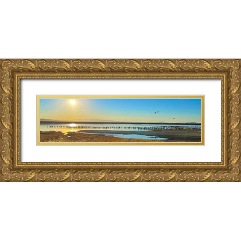 Wilcox-Sandhill Cranes 1 Gold Ornate Wood Framed Art Print with Double Matting by Tenoever, William