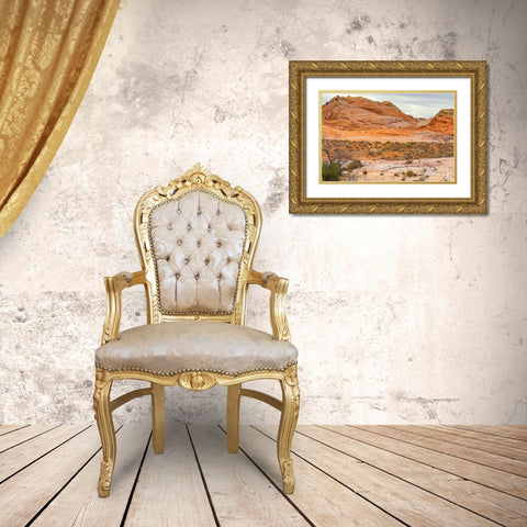 ValleyOfFire:BigHornSheep1 Gold Ornate Wood Framed Art Print with Double Matting by Tenoever, William