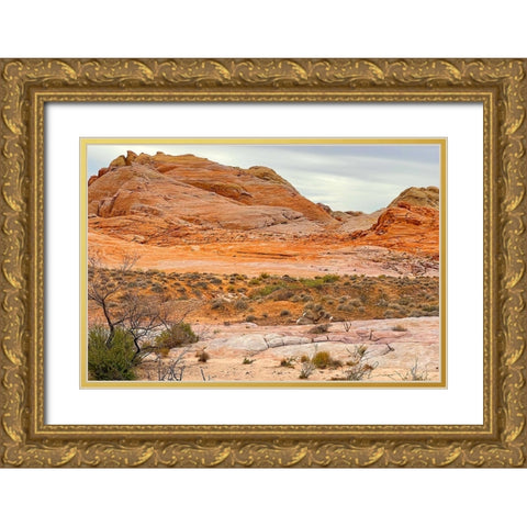 ValleyOfFire:BigHornSheep1 Gold Ornate Wood Framed Art Print with Double Matting by Tenoever, William
