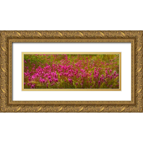 OwlClover Gold Ornate Wood Framed Art Print with Double Matting by Tenoever, William