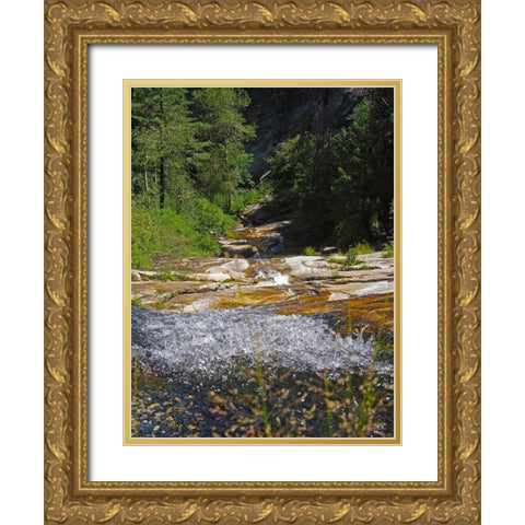 Riparian IV Gold Ornate Wood Framed Art Print with Double Matting by Popcorn