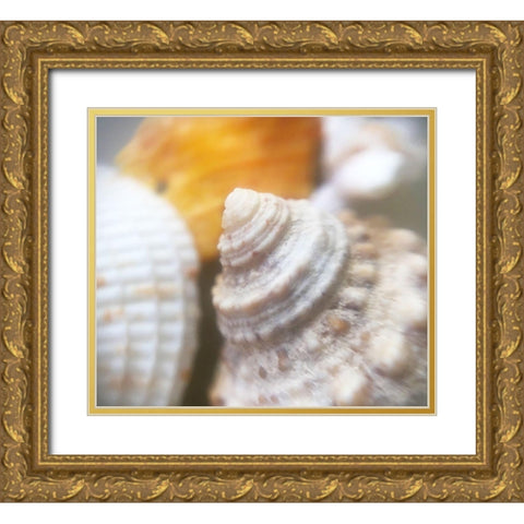 Shells Gold Ornate Wood Framed Art Print with Double Matting by Popcorn