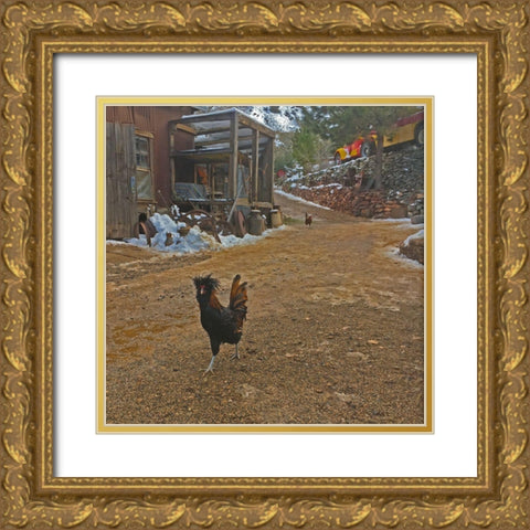 Polish Chicken Gold Ornate Wood Framed Art Print with Double Matting by Popcorn