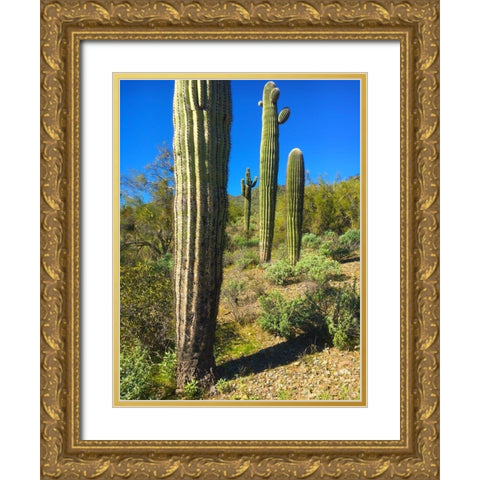 Desert Scape 12a Gold Ornate Wood Framed Art Print with Double Matting by Popcorn