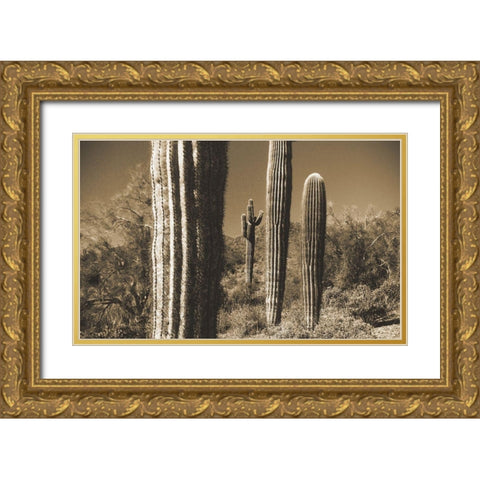 Desert Scape 13 Gold Ornate Wood Framed Art Print with Double Matting by Popcorn