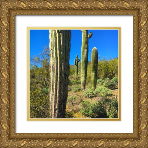 Desert Scape 12b Gold Ornate Wood Framed Art Print with Double Matting by Popcorn