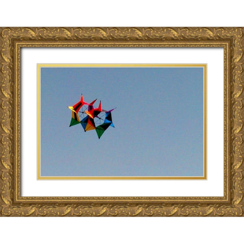 Kite I Gold Ornate Wood Framed Art Print with Double Matting by Popcorn
