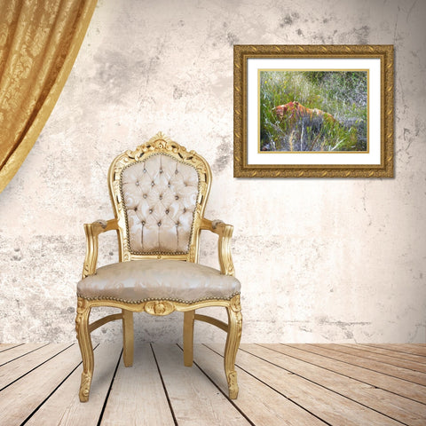 Sedimentations: Rock In The Tall Grass Gold Ornate Wood Framed Art Print with Double Matting by Popcorn