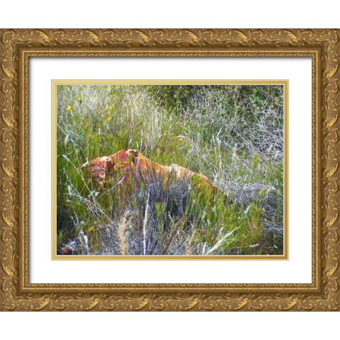 Sedimentations: Rock In The Tall Grass Gold Ornate Wood Framed Art Print with Double Matting by Popcorn
