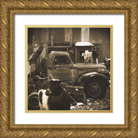 Junkyard D2: Sepia Goats Gold Ornate Wood Framed Art Print with Double Matting by Popcorn