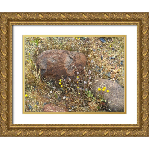 Sedimentations: Where The Chamomile Grows Gold Ornate Wood Framed Art Print with Double Matting by Popcorn