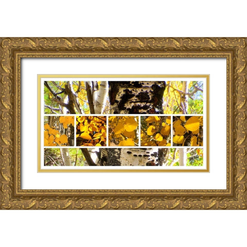 Aspens In The Fall 1 Gold Ornate Wood Framed Art Print with Double Matting by Tenoever, William