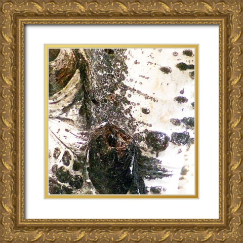 Aspens In The Fall 3 Gold Ornate Wood Framed Art Print with Double Matting by Tenoever, William