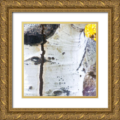 Aspens In The Fall 5 Gold Ornate Wood Framed Art Print with Double Matting by Tenoever, William