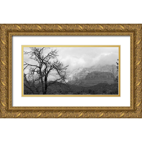 SedonaInWinter2:BAndW Gold Ornate Wood Framed Art Print with Double Matting by Tenoever, William