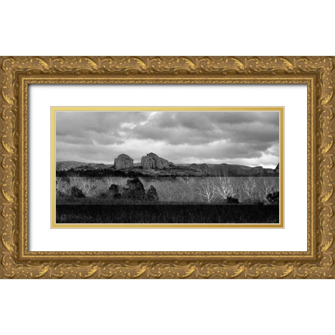 SedonaInWinter4b:BAndW Gold Ornate Wood Framed Art Print with Double Matting by Tenoever, William