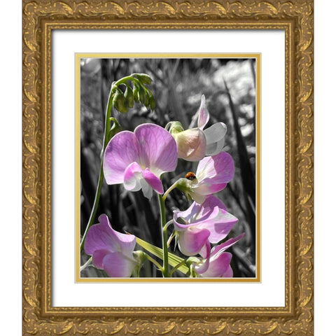 Peavine B/W 1 Gold Ornate Wood Framed Art Print with Double Matting by Tenoever, William