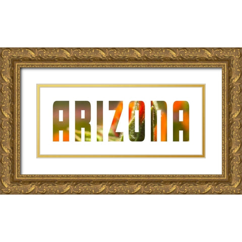 Arizona Gold Ornate Wood Framed Art Print with Double Matting by Popcorn