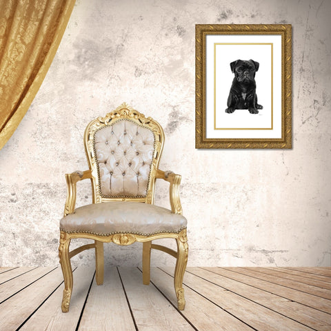 Pug II Gold Ornate Wood Framed Art Print with Double Matting by Amanda Greenwood