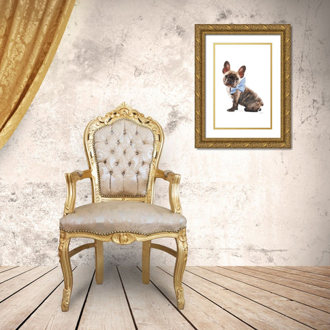Frenchie VII Gold Ornate Wood Framed Art Print with Double Matting by Amanda Greenwood