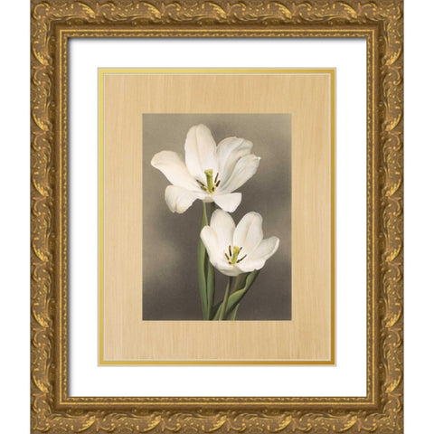 Tulipani Gold Ornate Wood Framed Art Print with Double Matting by Trivelli, Andrea
