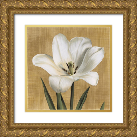 Tulipano Gold Ornate Wood Framed Art Print with Double Matting by Trivelli, Andrea