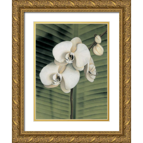 Orchid with Palm II Gold Ornate Wood Framed Art Print with Double Matting by Trivelli, Andrea