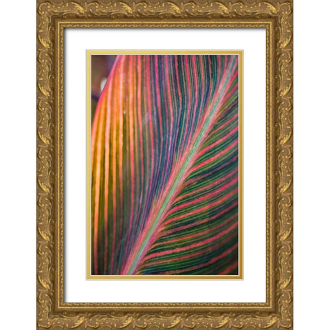 Canna Lily Leaves II Gold Ornate Wood Framed Art Print with Double Matting by Markoff, Barbara
