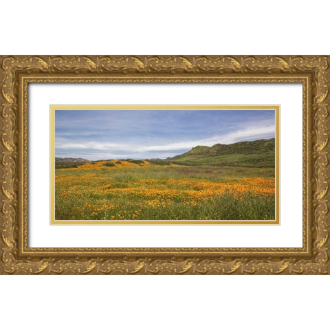 Spring Vista with Wildflowers Gold Ornate Wood Framed Art Print with Double Matting by Markoff, Barbara