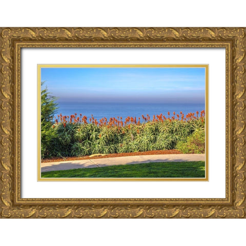 Walkway with Red Aloe Gold Ornate Wood Framed Art Print with Double Matting by Markoff, Barbara