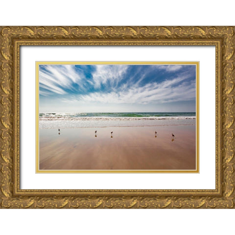 Birds on Beach, Del Mar Gold Ornate Wood Framed Art Print with Double Matting by Markoff, Barbara