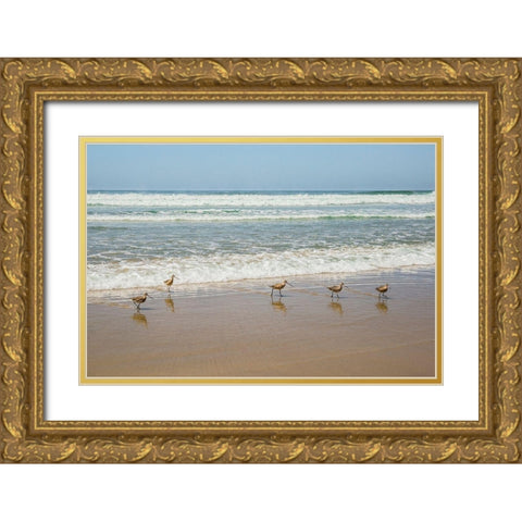 Birds at La Jolla Shores Gold Ornate Wood Framed Art Print with Double Matting by Markoff, Barbara
