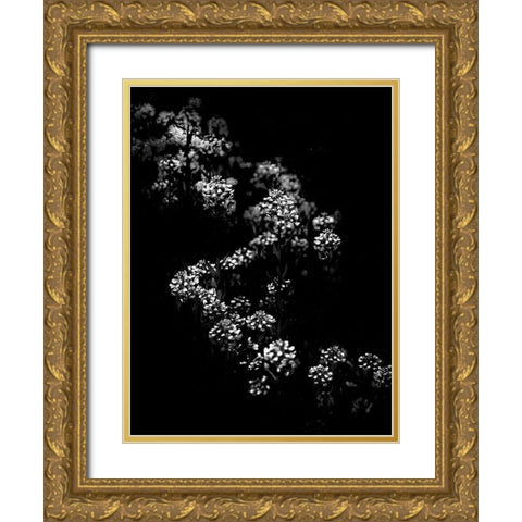 Black And White Floral Bush Gold Ornate Wood Framed Art Print with Double Matting by Carson, Brian