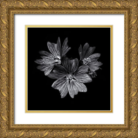 Black And White Flower Trio Gold Ornate Wood Framed Art Print with Double Matting by Carson, Brian