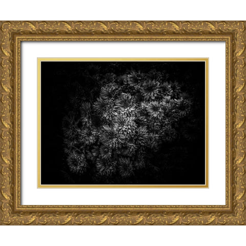 Black And White Mum Bouquet Gold Ornate Wood Framed Art Print with Double Matting by Carson, Brian