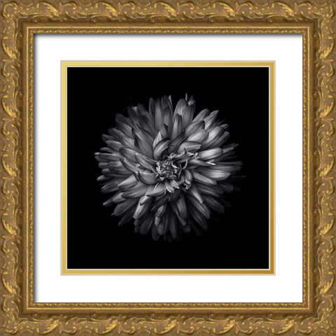 Black And White Mum I Gold Ornate Wood Framed Art Print with Double Matting by Carson, Brian